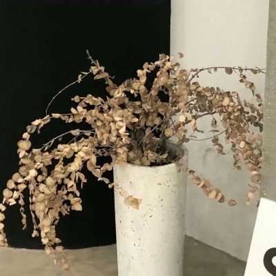 桐乡FurryQQ群介绍